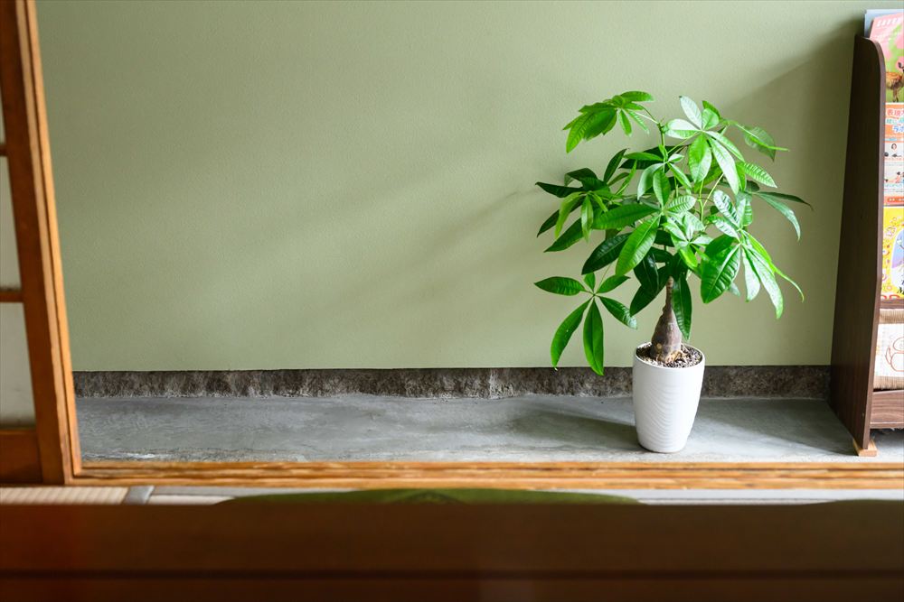 既存土間の活用